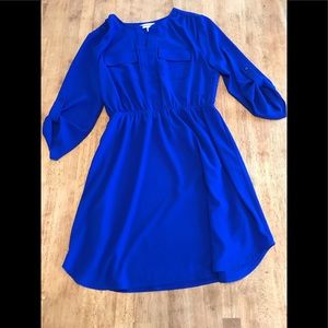 XL knee length royal blue dress NWT